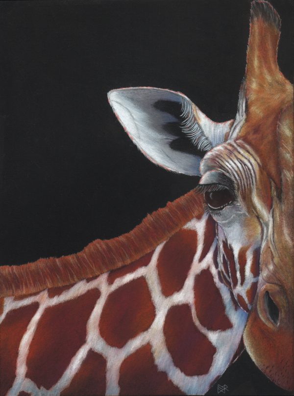 giraffe-pastel-lori-corbett-whispering-eagle-studio