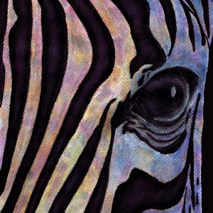 zebra-lori-corbett