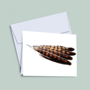 kestrel-feather-notecard-lori-corbett-whispering-eagle-studio