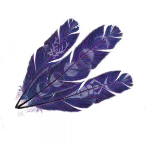 pagan-feathers-sticker-lori-corbett-whispering-eagle-studio
